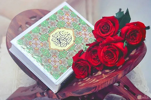 زعيم يميني دنماركي يحرق نسخاً من القرآن