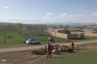طبیعت بهاری روستاهای شهرستان اهر