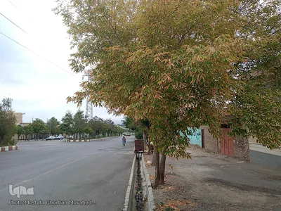 خودنمایی فصل خزان در اولین روزهای فصل پاییز
