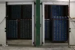 صادرات سیر؛ محصول پرخاصیت و معروف همدان
