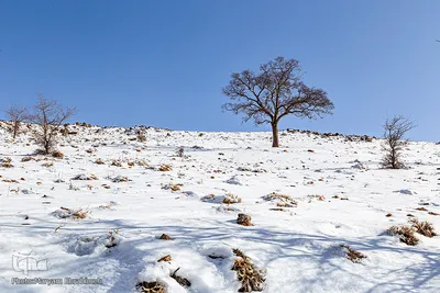 طبیعت برفی آذربایجان شرفی