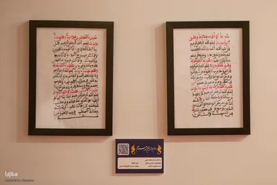 نمایشگاه همام