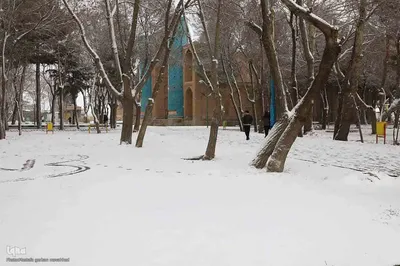 بارش برف در اهر