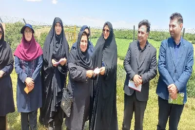 محیط زیست 