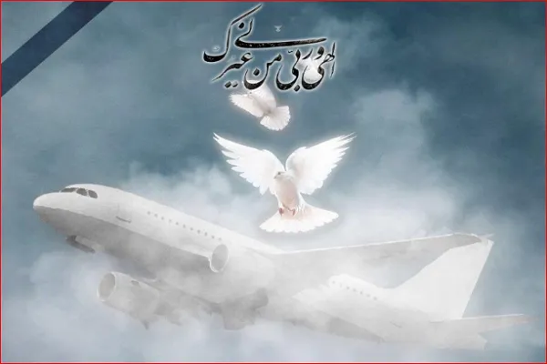 یادبود قربانیان هواپیمای اوکراینی در هامبورگ و برلین
