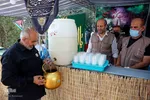 موکب موقوفه ریحانه الحسین(ع) فارس