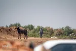 حضور گروه خیریه به نام انسانیت در نقاط دوره افتاده استان خوزستان.