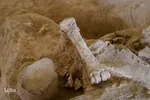 مراغه بهشت پستانداران ماقبل تاریخ‎‎