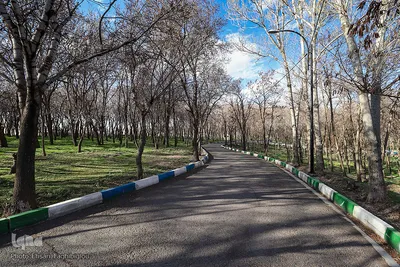 روز طبیعت در زنجان