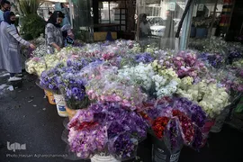 بازار گل شهید محلاتی در روز ملی گل