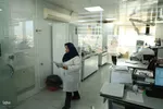 مادرانِ سرزمینم‎
