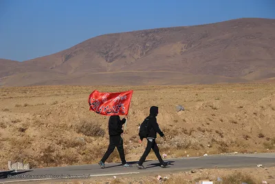 زائران پیاده امام رضا (ع)