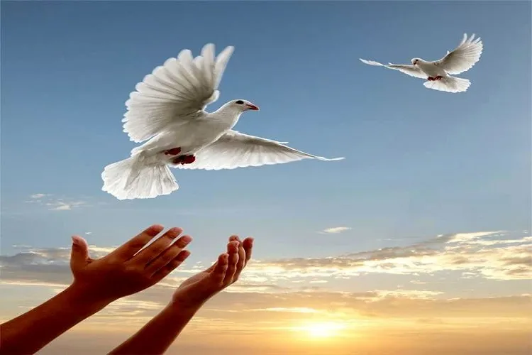 رهایی ۲۱ زندانی محکوم به قصاص در سال ۹۸