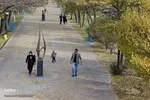 تبریز برگ‌ریز