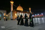 سیب بهشتی‎‎