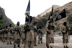 Pour Al-Qaïda le coronavirus est le 