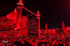 احیا در حرم امام علی‎‎