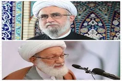 Head of European Union of Shia Scholars Wishes Sheikh Qassim Speedy Recovery 