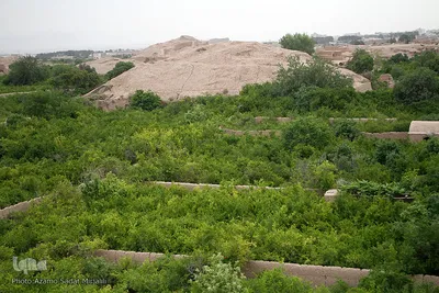 نشست خبری شهردار و اعضای شورای اسلامی باغ شهر شاهدیه یزد‎