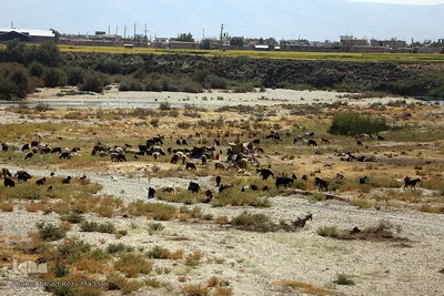 بحران خشکسالی در درودزن‎