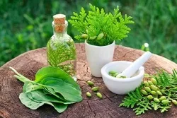 Indien ist Gastgeber der Konferenz „Islamische Medizin als Basis der Gesundheit“