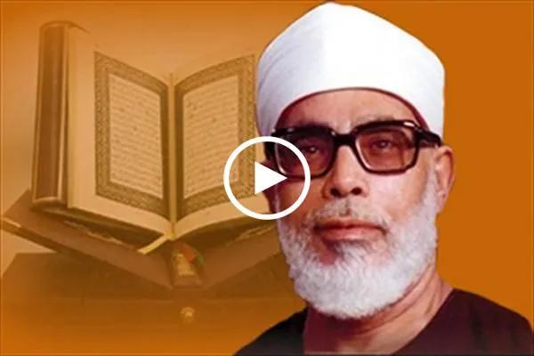 سورة الأحزاب | تلاوة عطرة بصوت القارئ 