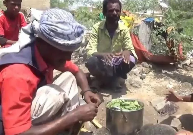 Yemen, foglie bollite per combattere la fame