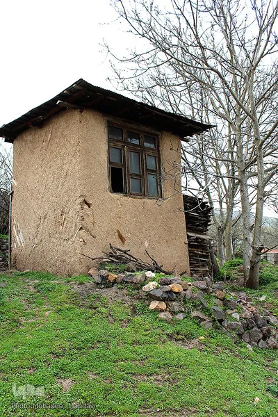 لبخند طبیعت در جلگه گیلان