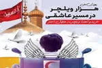 پویش «هزار ویلچر در مسیر عاشقی» در یزد اجرا می‌شود