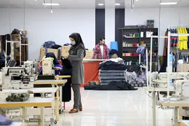 مثل یک درخت پُربار