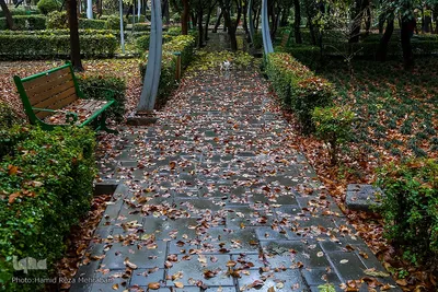 یک روز پاییزی بارانی