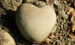 অন্তরের রোগসমূহ