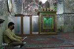 جز خوانی و تفسیر قرآن در آستان مقدس علی ابن حمزه (ع) شیراز‎‎