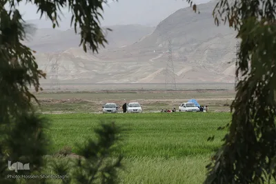 روز طبیعت با چاشنی کرونا