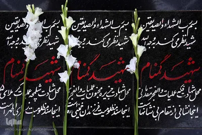 کاروان قرآنی انقلاب در بوشهر