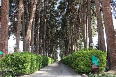 شکوه یک باغ ایرانی