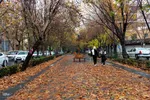 نغمه باران در اصفهان