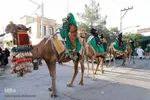 کاروان نمادین ورود قافله امام حسین(ع) به دشت کربلا