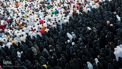 مراسم نماز عید قربان در جوار حرم امام حسین و برادرش عباس (ع)