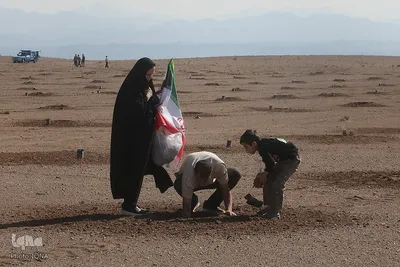 غرس نهال در روز طبیعت