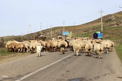 رنگین‌کمان رنگ‌ها در سرزمین ارسباران
