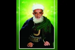 محمد علی الحوثی:
علامه «بدرالدین الحوثی» کی تفیسر عقلی اور  مدبرانہ