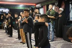 Kopenhagendə İmam Hüseyn (ə) üçün əza məclisləri keçirilir - Foto