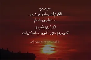 استوری‌موشن | سایه درختِ توکل