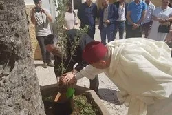 Maroc : des oliviers en signes de fraternité entre musulmans, chrétiens et juifs