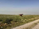 طبیعت زیبای قوشاداغ در اهر