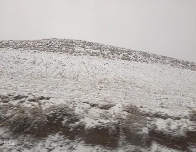 بارش برف در شهرستان اهر