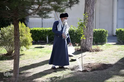 کاشت نهال توسط رهبر انقلاب