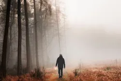 مصير حياتنا بيد من؟