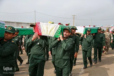 بازگشت لاله‌ها به آغوش وطن